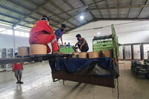 pt avansyah karya group galeri 20